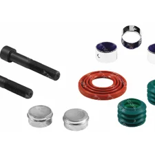 CALIPER DUST RUBBER & BOLT SET - 10.20040
