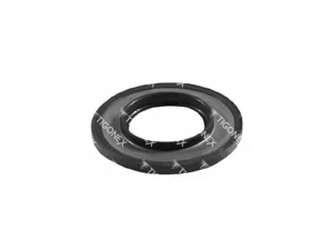 CALIPER SEAL