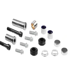 CALIPER DUST RUBBER AND PIN SET - 10.30194