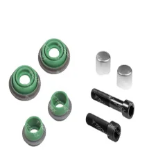 CALIPER DUST RUBBER AND BOLT SET - 10.30233