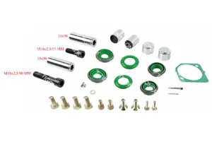 CALIPER DUST RUBBER AND PIN SET - 10.30332