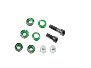 CALIPER DUST RUBBER AND BOLT SET