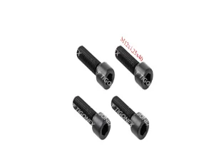 CALIPER BOLT SET
