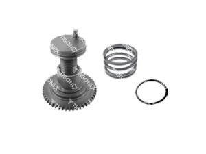 CALIPER ADJUSTING GEAR -L