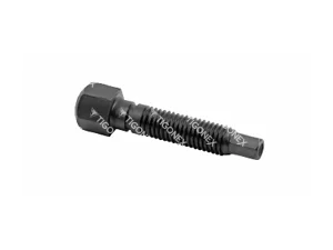 CALIPER DUST COVER BOLT