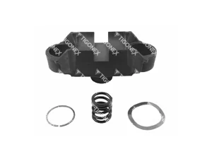 CALIPER BRIDGE ASSEMBLY