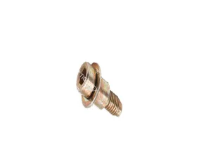 CALIPER COVER SCREW