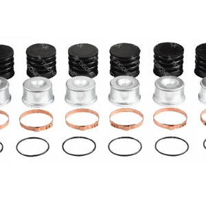 CALIPER CAP SET - 106943