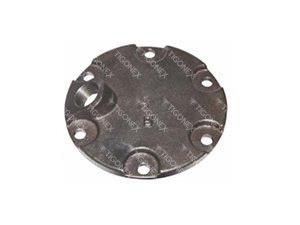 HUB CAP - 501618