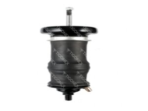 SHOCK ABSORBER - 401587