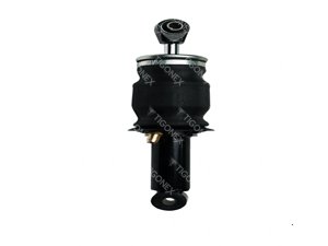 SHOCK ABSORBER - 302450