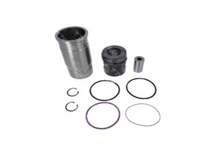 PISTON WITH LINER - 506946