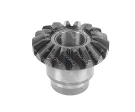 BEYİN BORU DİŞLİSİ