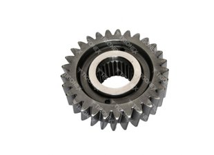 BEYİN DİŞLİ KARŞILIĞI